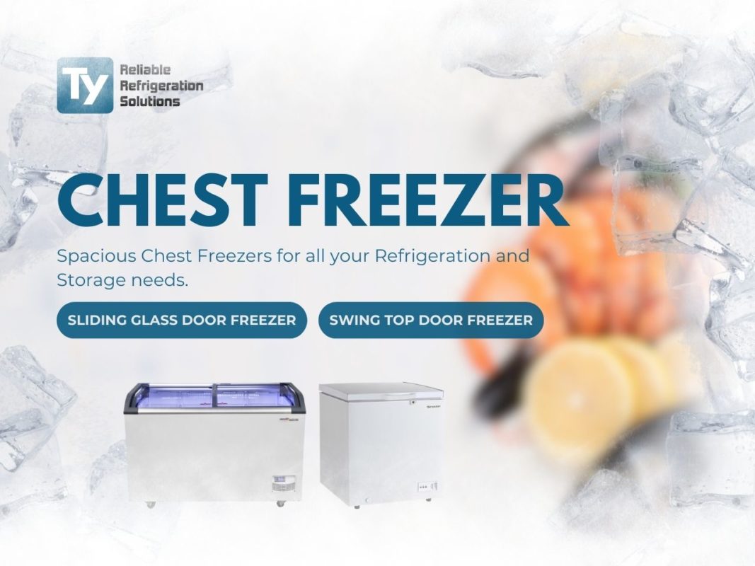 Chest Freezer | Ty Innovations